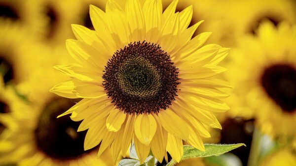 はじめまして！